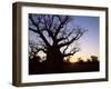 Boab Tree and Gravel Road, Kimberley, Western Australia, Australia, Pacific-Jochen Schlenker-Framed Photographic Print