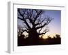 Boab Tree and Gravel Road, Kimberley, Western Australia, Australia, Pacific-Jochen Schlenker-Framed Photographic Print