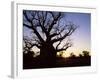 Boab Tree and Gravel Road, Kimberley, Western Australia, Australia, Pacific-Jochen Schlenker-Framed Photographic Print