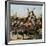 Boadicea and Her Army-null-Framed Giclee Print