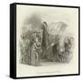 Boadicea Haranguing the Britons-null-Framed Stretched Canvas