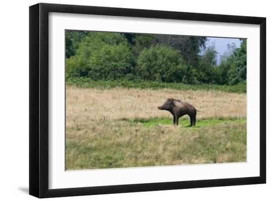 Premium Photographic Print, , large