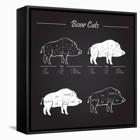 Boar Meat Cut Diagram - Elements Blackboard-ONiONAstudio-Framed Stretched Canvas