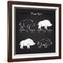 Boar Meat Cut Diagram - Elements Blackboard-ONiONAstudio-Framed Art Print