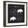 Boar Meat Cut Diagram - Elements Blackboard-ONiONAstudio-Framed Art Print