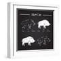 Boar Meat Cut Diagram - Elements Blackboard-ONiONAstudio-Framed Art Print