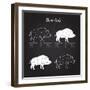 Boar Meat Cut Diagram - Elements Blackboard-ONiONAstudio-Framed Art Print