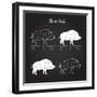 Boar Meat Cut Diagram - Elements Blackboard-ONiONAstudio-Framed Art Print