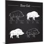 Boar Meat Cut Diagram - Elements Blackboard-ONiONAstudio-Mounted Premium Giclee Print