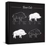 Boar Meat Cut Diagram - Elements Blackboard-ONiONAstudio-Framed Stretched Canvas