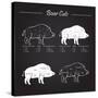 Boar Meat Cut Diagram - Elements Blackboard-ONiONAstudio-Stretched Canvas