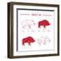 Boar Meat Cut Diagram - Elements Red on White-ONiONAstudio-Framed Art Print