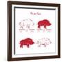 Boar Meat Cut Diagram - Elements Red on White-ONiONAstudio-Framed Art Print