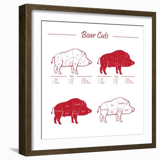 Boar Meat Cut Diagram - Elements Red on White-ONiONAstudio-Framed Art Print