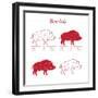 Boar Meat Cut Diagram - Elements Red on White-ONiONAstudio-Framed Art Print