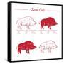 Boar Meat Cut Diagram - Elements Red on White-ONiONAstudio-Framed Stretched Canvas