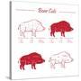 Boar Meat Cut Diagram - Elements Red on White-ONiONAstudio-Stretched Canvas