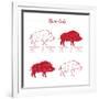 Boar Meat Cut Diagram - Elements Red on White-ONiONAstudio-Framed Art Print