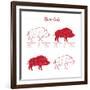 Boar Meat Cut Diagram - Elements Red on White-ONiONAstudio-Framed Art Print