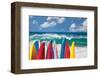 Board in Maui II-null-Framed Art Print