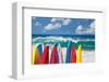 Board in Maui II-null-Framed Art Print