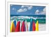 Board in Maui II-null-Framed Art Print