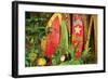 Board in Maui-null-Framed Art Print