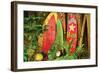 Board in Maui-null-Framed Art Print