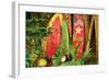 Board in Maui-null-Framed Art Print