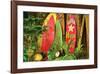 Board in Maui-null-Framed Art Print