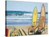 Board Meeting-Scott Westmoreland-Stretched Canvas