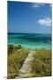 Board Walk to Heaven I-Jan Michael Ringlever-Mounted Art Print