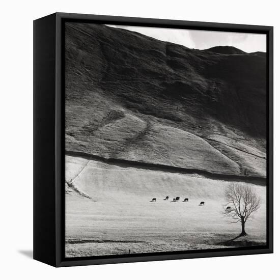 Boardale, Cumbria 1982-Fay Godwin-Framed Stretched Canvas