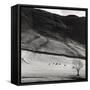 Boardale, Cumbria 1982-Fay Godwin-Framed Stretched Canvas
