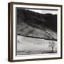 Boardale, Cumbria 1982-Fay Godwin-Framed Giclee Print