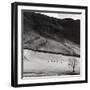 Boardale, Cumbria 1982-Fay Godwin-Framed Giclee Print