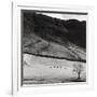 Boardale, Cumbria 1982-Fay Godwin-Framed Giclee Print