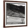 Boardale, Cumbria 1982-Fay Godwin-Framed Giclee Print