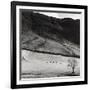 Boardale, Cumbria 1982-Fay Godwin-Framed Giclee Print