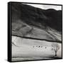 Boardale, Cumbria 1982-Fay Godwin-Framed Stretched Canvas
