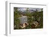 Boarding-House in the Forest Wildlife on the River. Omulevka River. Magadan Region. Russia.-Olenyok-Framed Photographic Print