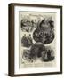 Boarding House Life-null-Framed Giclee Print