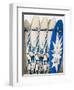 Boards for Wind Surfing at Santa Maria on the Island of Sal (Salt), Cape Verde Islands, Africa-R H Productions-Framed Premium Photographic Print