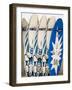 Boards for Wind Surfing at Santa Maria on the Island of Sal (Salt), Cape Verde Islands, Africa-R H Productions-Framed Photographic Print