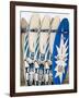 Boards for Wind Surfing at Santa Maria on the Island of Sal (Salt), Cape Verde Islands, Africa-R H Productions-Framed Photographic Print