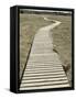 Boardwalk across a Tidal Marsh Leading to a Wooden Area at a Wildlife Sanctuary-John Nordell-Framed Stretched Canvas
