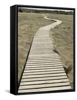 Boardwalk across a Tidal Marsh Leading to a Wooden Area at a Wildlife Sanctuary-John Nordell-Framed Stretched Canvas