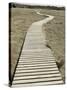 Boardwalk across a Tidal Marsh Leading to a Wooden Area at a Wildlife Sanctuary-John Nordell-Stretched Canvas