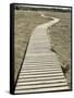 Boardwalk across a Tidal Marsh Leading to a Wooden Area at a Wildlife Sanctuary-John Nordell-Framed Stretched Canvas