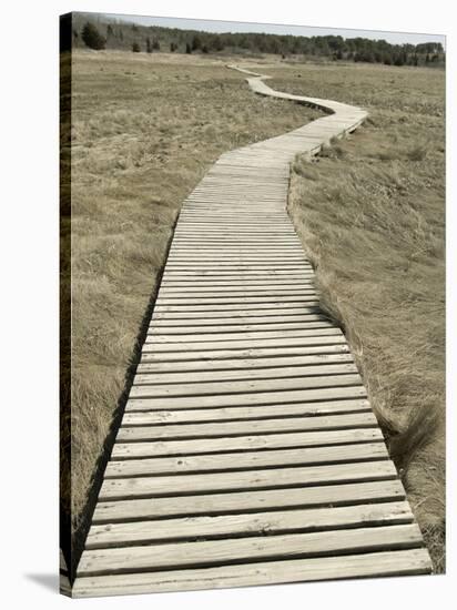 Boardwalk across a Tidal Marsh Leading to a Wooden Area at a Wildlife Sanctuary-John Nordell-Stretched Canvas